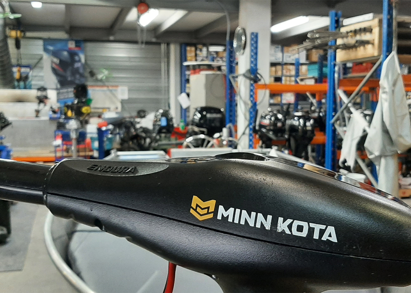 Rien de Wolf Over ons